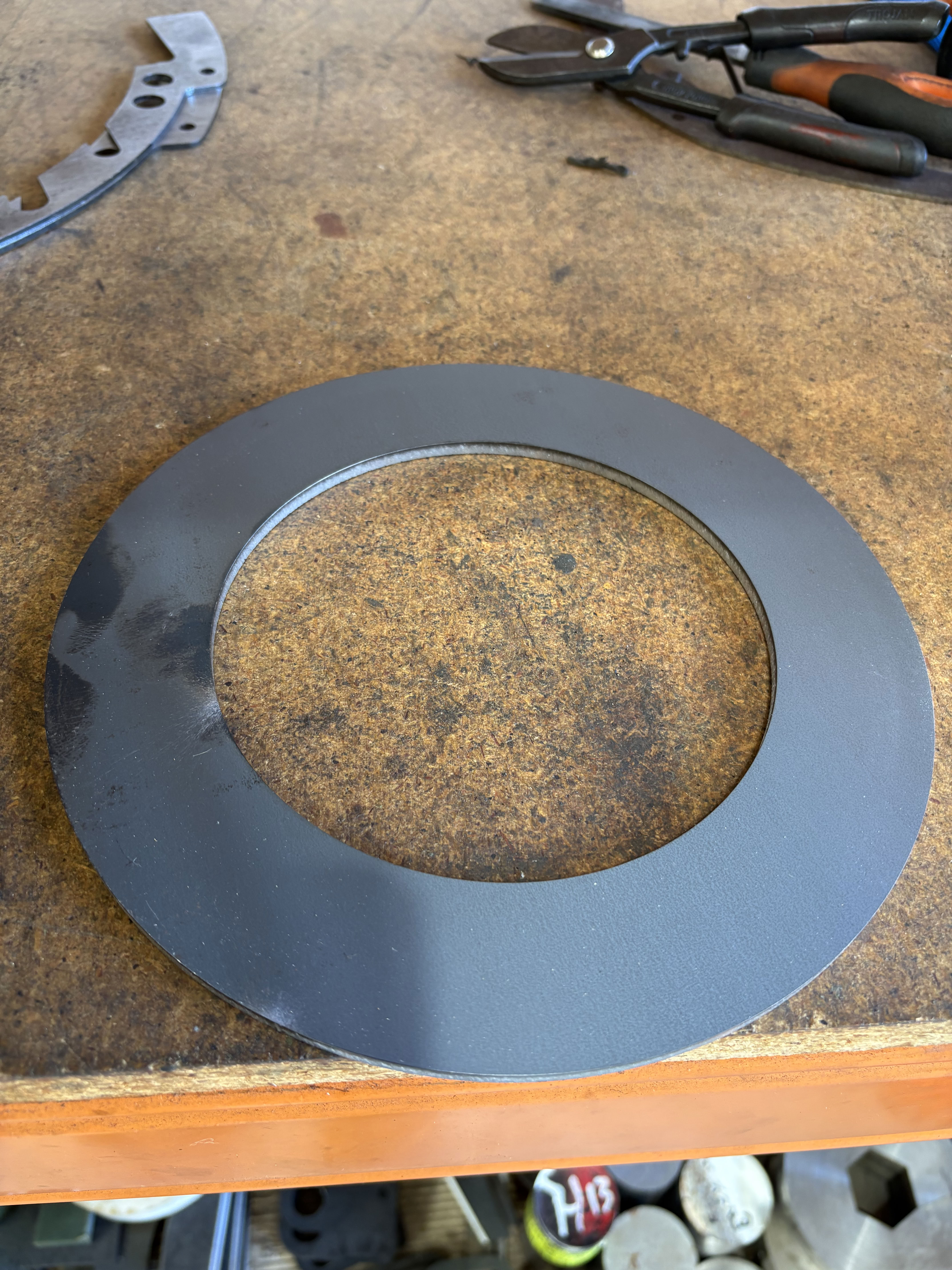 EE026 LRG MS Top Thrust Washer